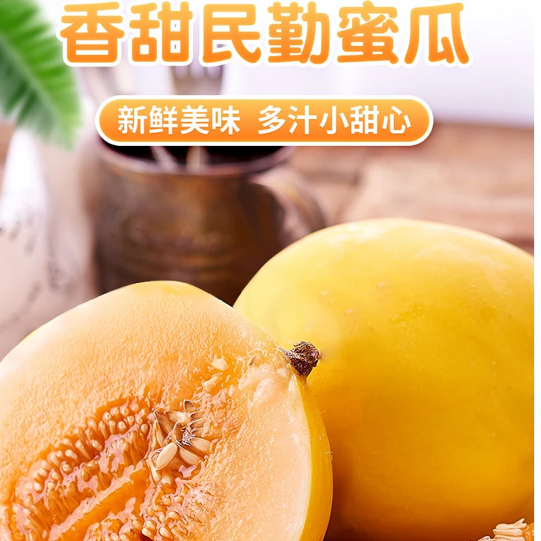 甘肃民勤沙漠蜜瓜 香甜多汁 应季新鲜水果