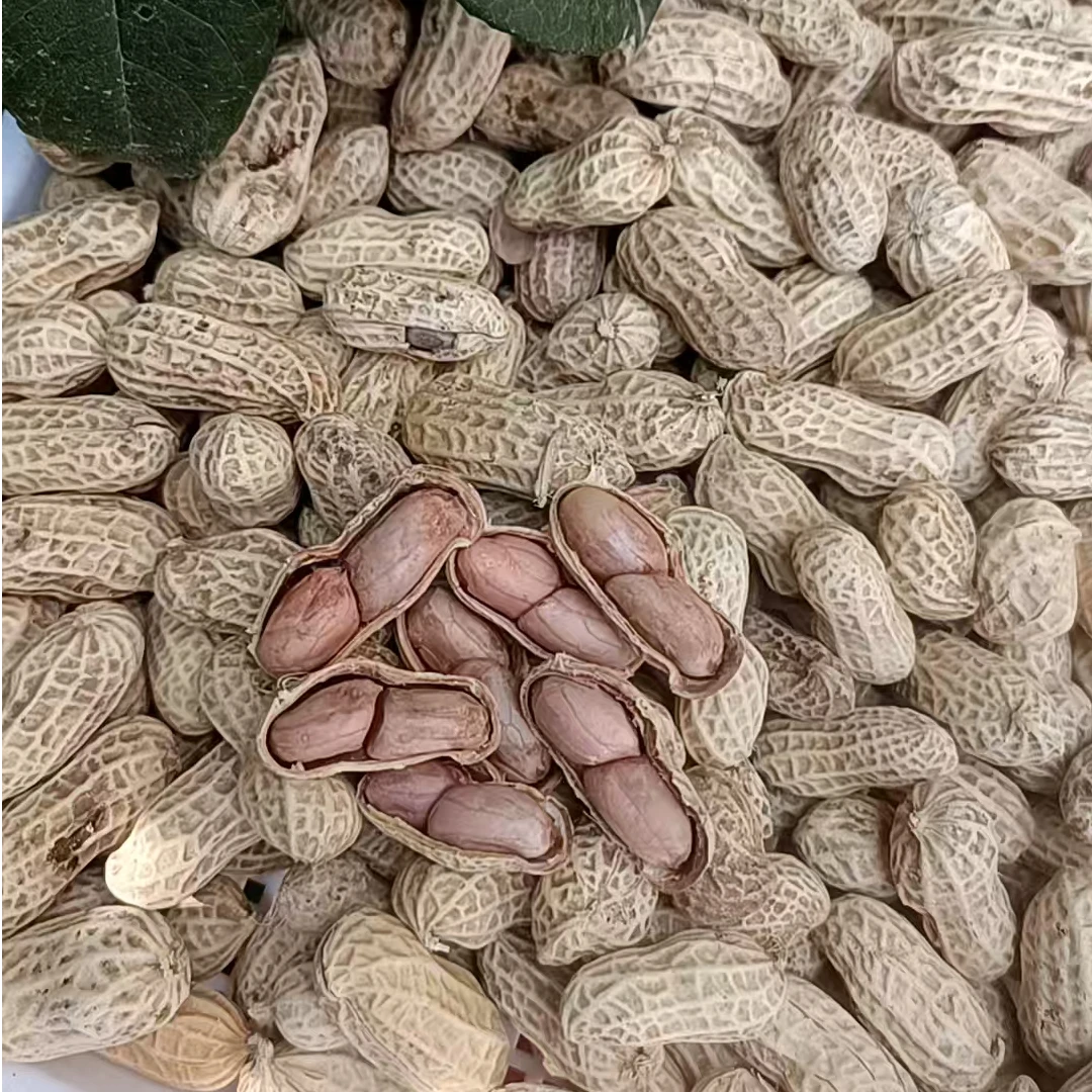 莆田本地  即食花生农产品 3斤