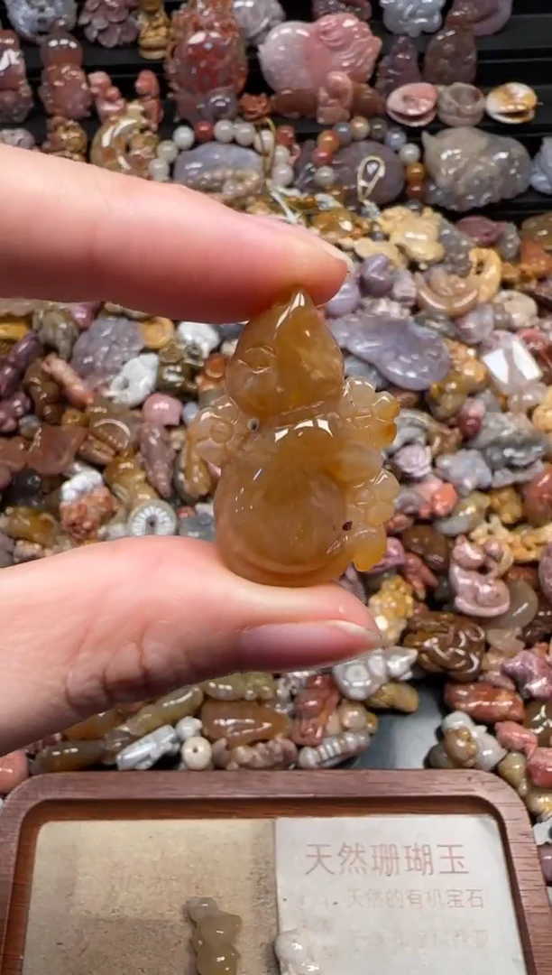 颈饰未镶嵌硅化珊瑚（珊瑚玉）436