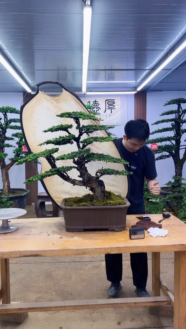 无花朵一**行000000000000000000000