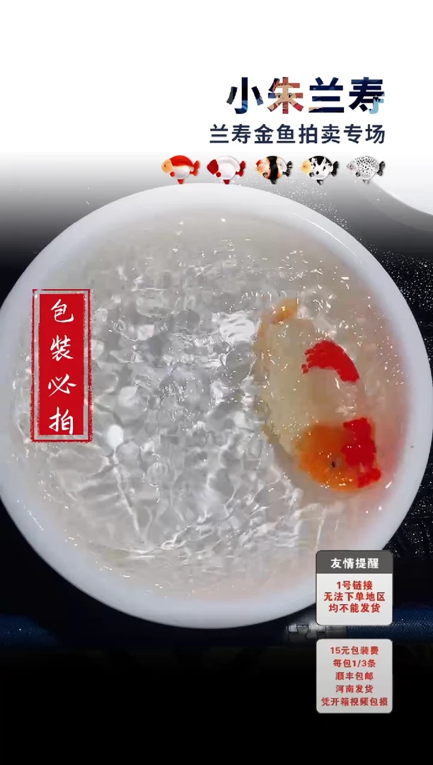 金鱼 包装必拍未拍顺丰到付94号