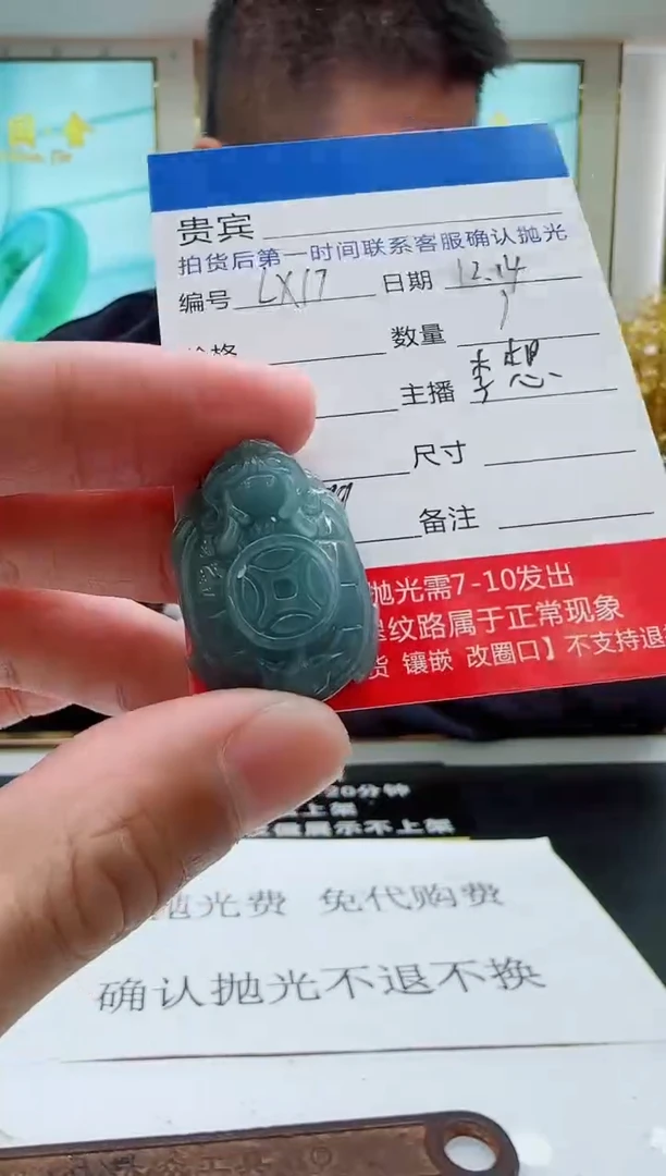 颈饰未镶嵌翡翠LX17翡翠吊坠-多样性发其一