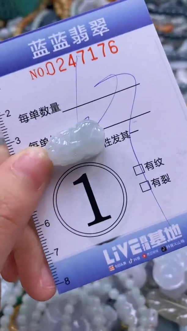 翡翠未镶嵌颈饰闪购0247176