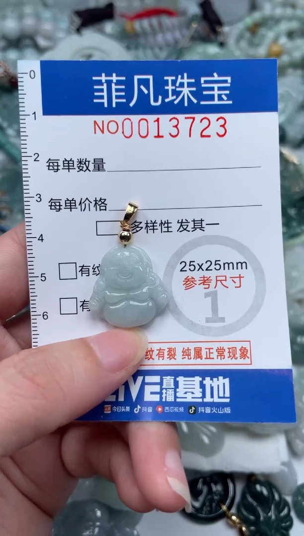 颈饰未镶嵌翡翠13723