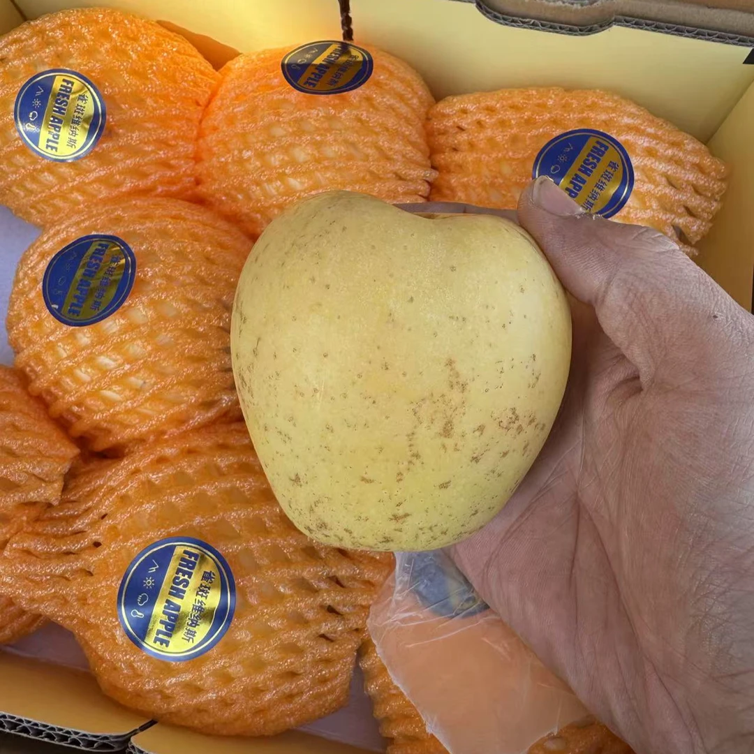 雀斑女人维纳斯黄金苹果3斤以上【顺丰包邮】新鲜苹果山东省