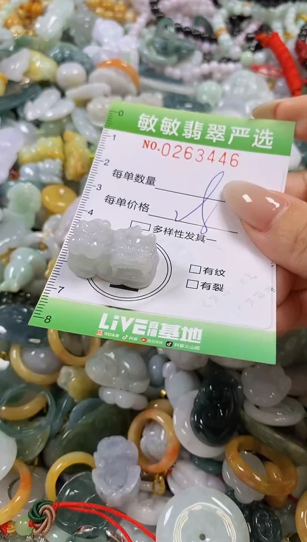 翡翠未镶嵌颈饰闪购0263446