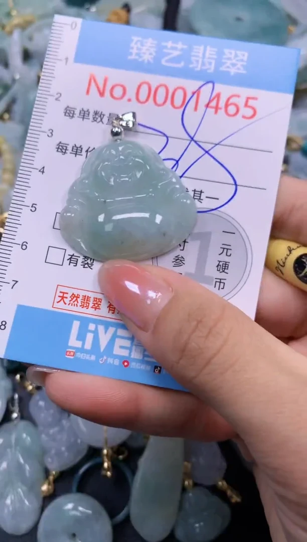 颈饰未镶嵌翡翠1465