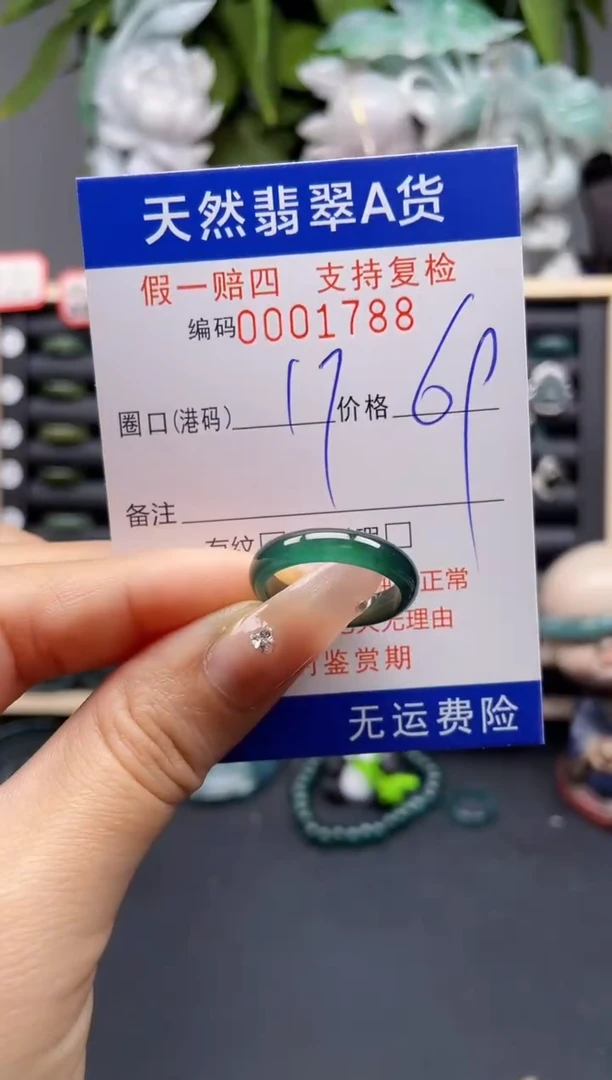 翡翠戒指未镶嵌17*1788