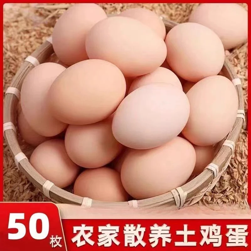 【50枚土鸡蛋】正宗农家散养土鸡蛋 笨鸡蛋现拣现发坏了包赔土鸡蛋