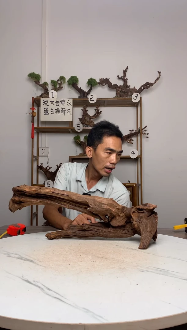 鱼缸造景沉木摆件