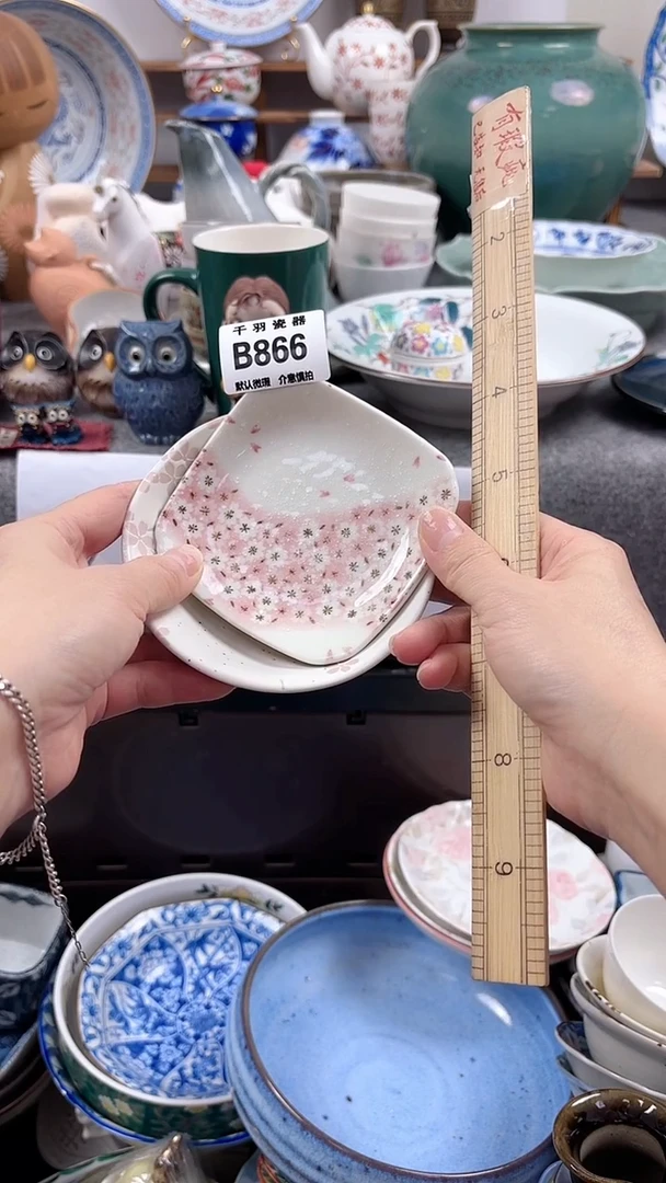 n****林默认微瑕默认微瑕B866
