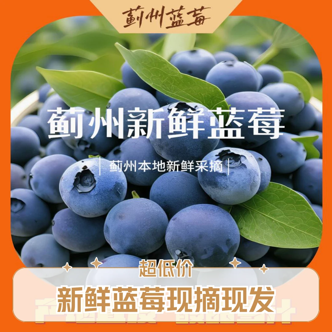 花香L25蓝莓 天津蓟县马伸桥2000g/18mm以下新鲜天津市