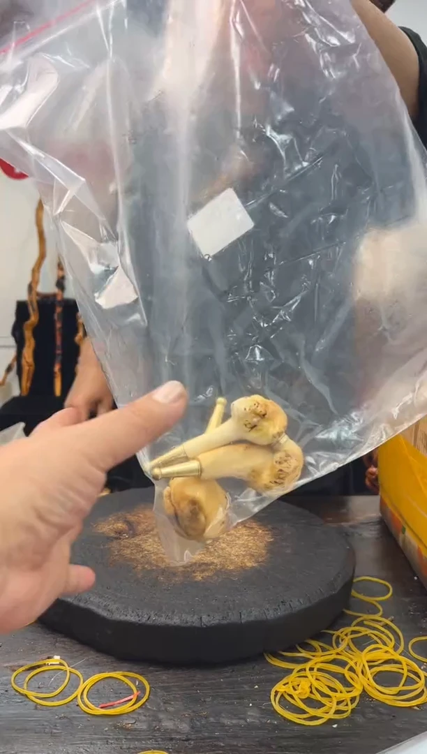 黑果木其他黑果木202