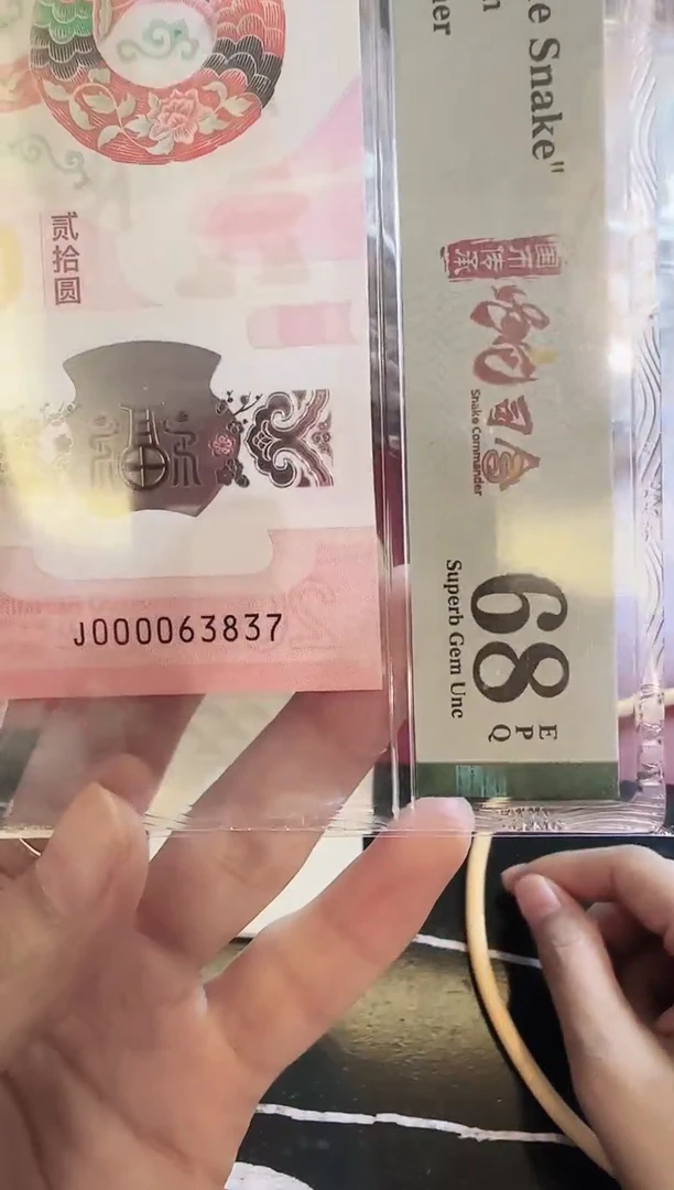 塑料2025蛇钞单张啊啊啊啊