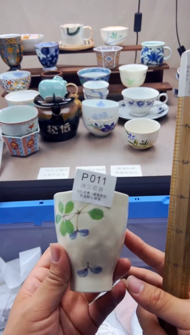 瓷片          P011