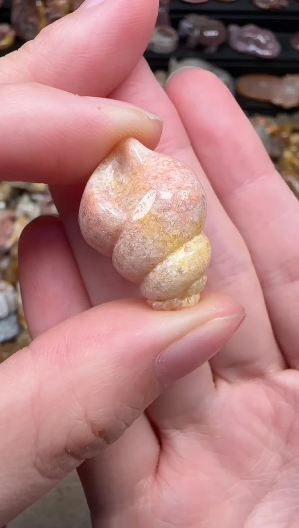 颈饰未镶嵌硅化珊瑚（珊瑚玉）239