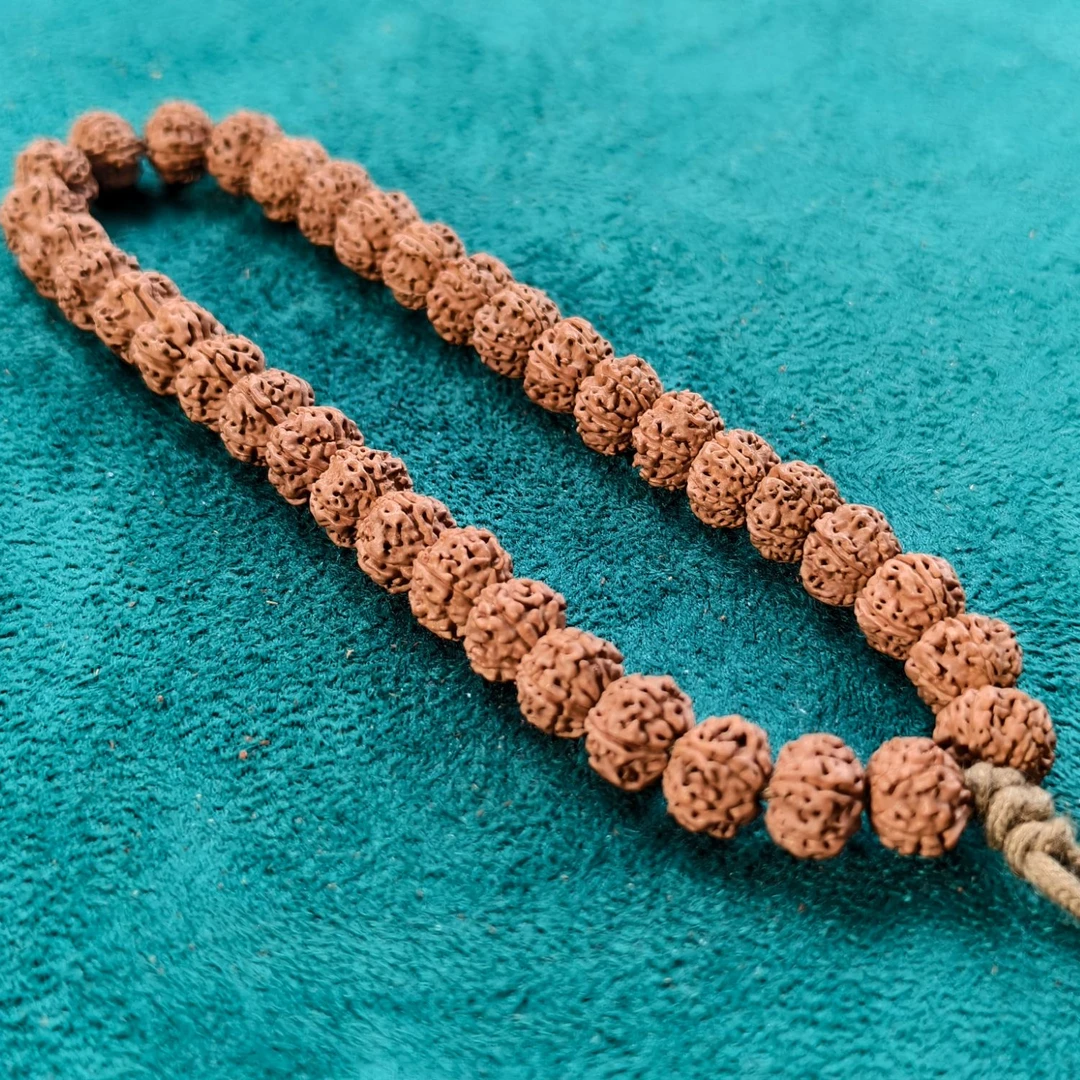 暗香梅花小金刚 矮桩 原生态 文玩 菩提