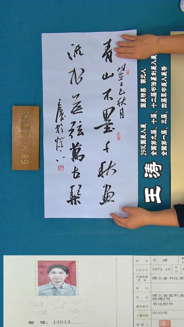 书法28a王涛书法作品