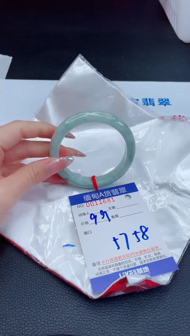 未镶嵌手镯翡翠1