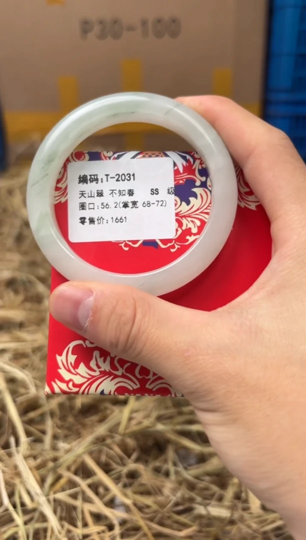 未镶嵌手镯石英质玉T-2031