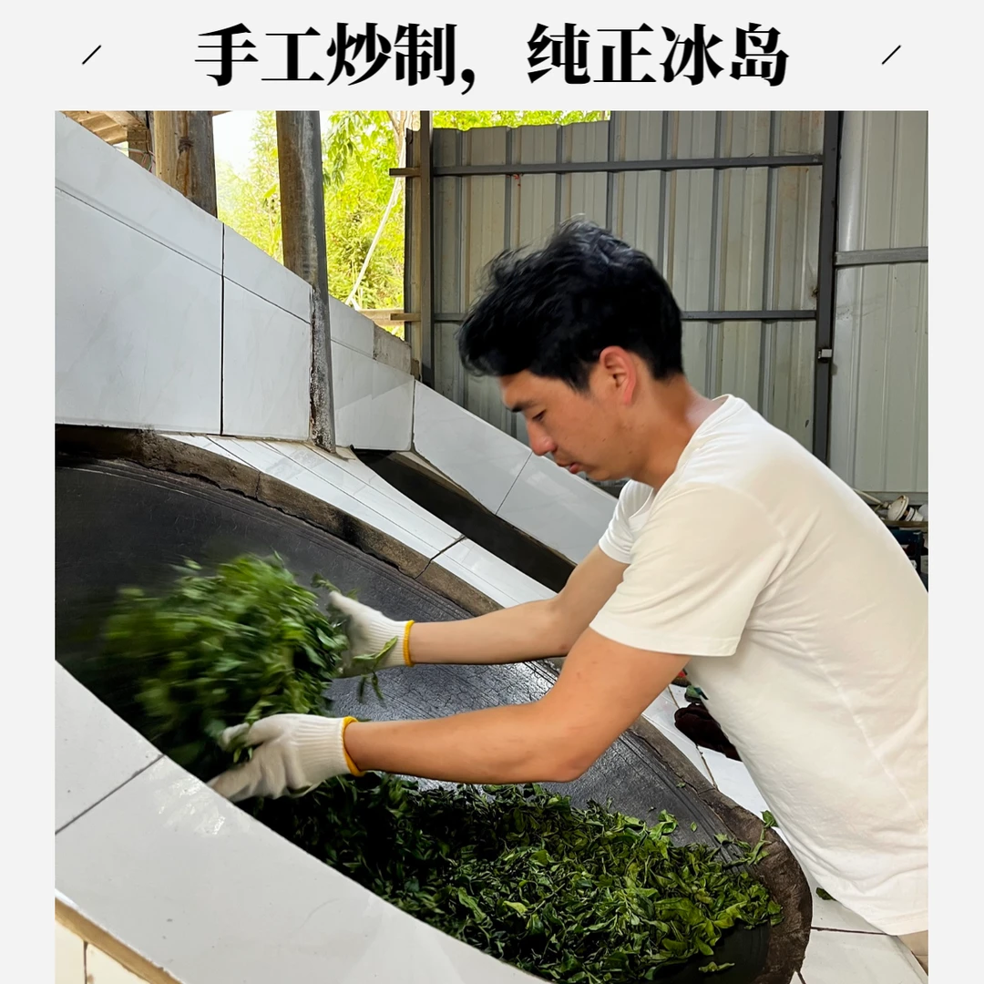 【高货茶样装】冰岛老寨/小户赛/大户赛单株/古树熟茶/古树白茶/5款