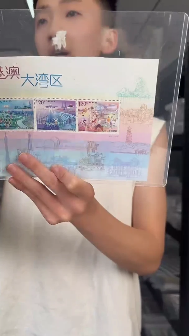 港澳大湾区小全张 邮票