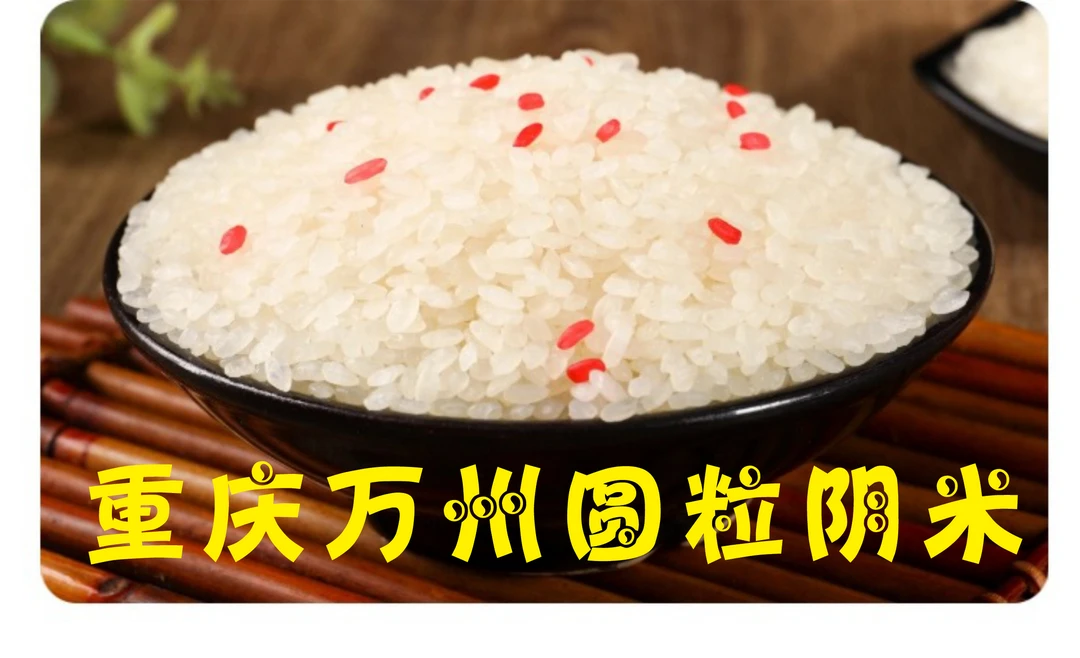 圆粒阴米包粽子专用重庆万州阴米江米糯米湖北阴米恩施特产米一级
