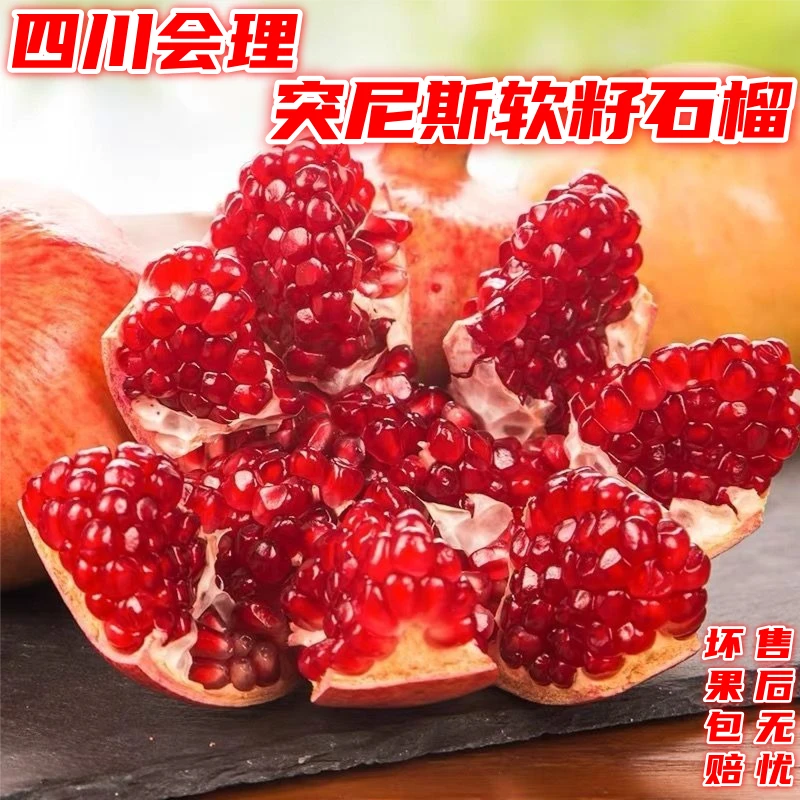 小耘乡四川会理突尼斯软籽石榴新鲜当季新鲜水果酸甜多汁