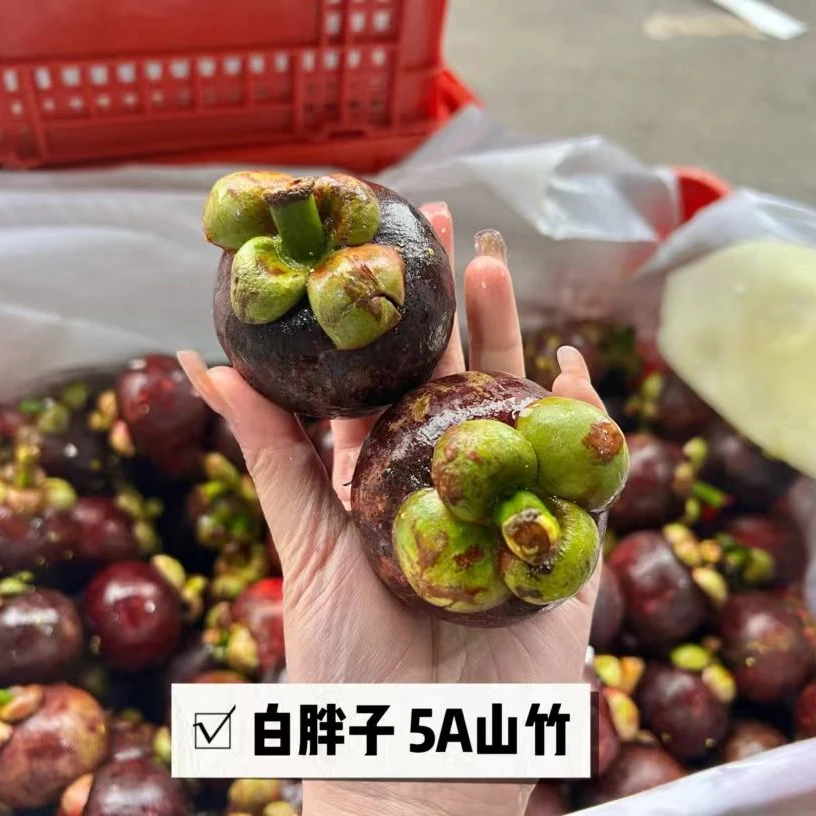 5A泰国老树麻竹新鲜到货40年树龄3斤，5斤