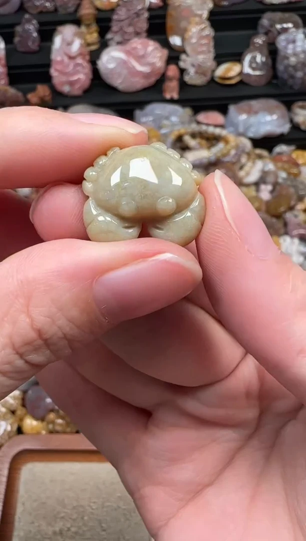 颈饰未镶嵌硅化珊瑚（珊瑚玉）582