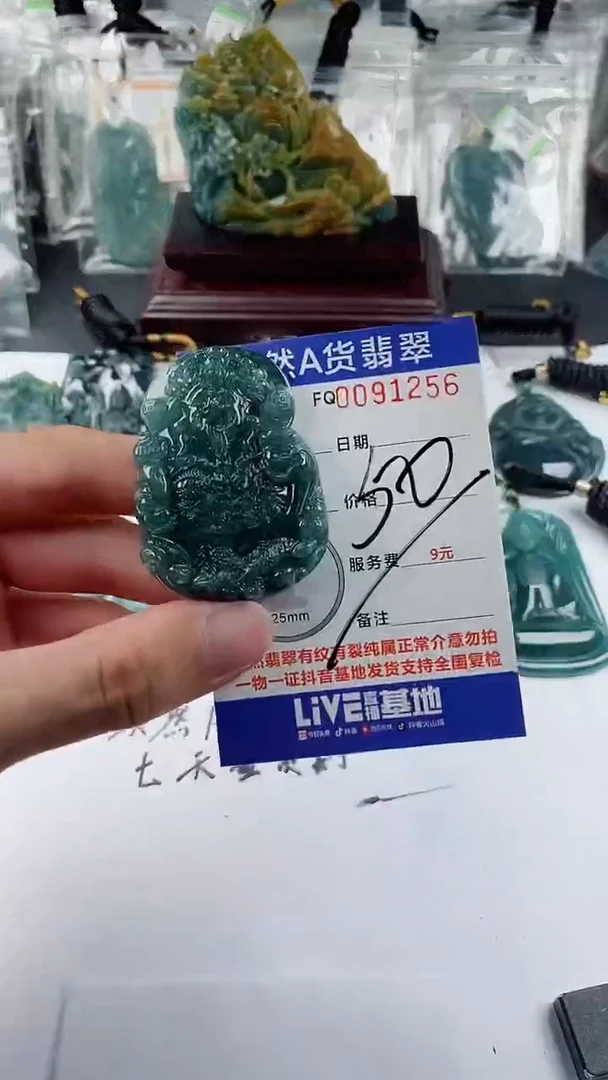 【闪购商品】翡翠颈饰未镶嵌