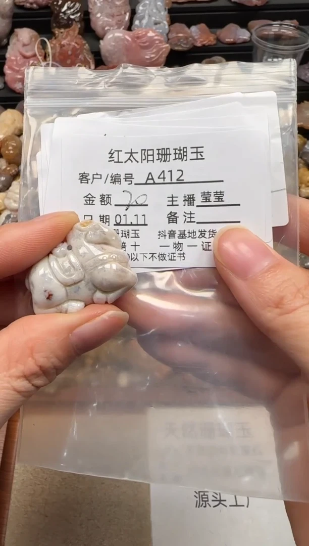 【闪购商品】硅化珊瑚（珊瑚玉）颈饰未镶嵌412