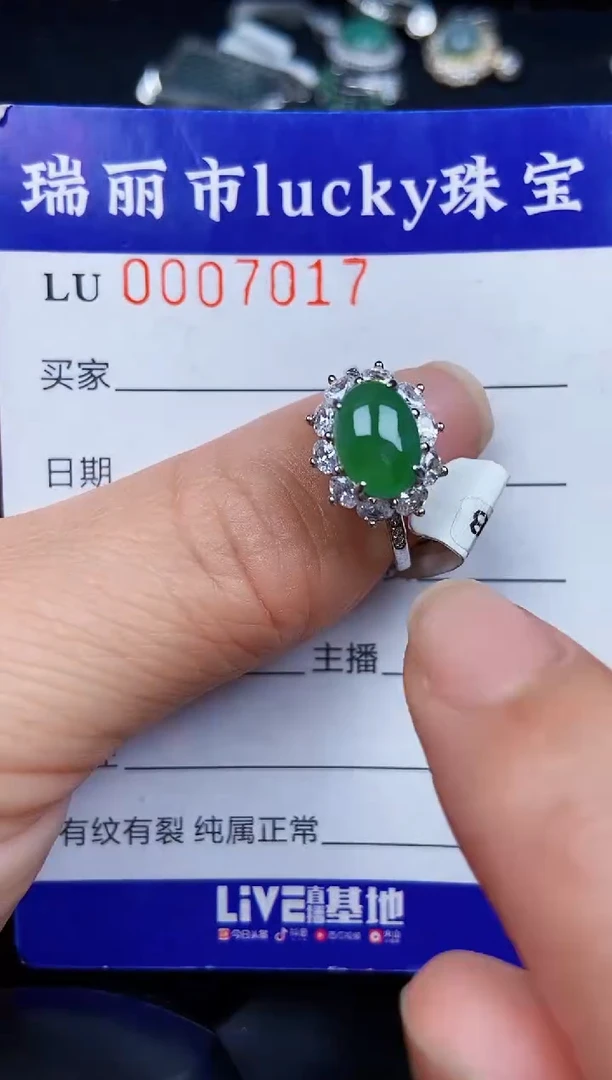 翡翠银S925镶嵌颈饰7017