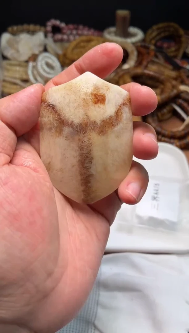 鹿骨其他母鹿三界A478