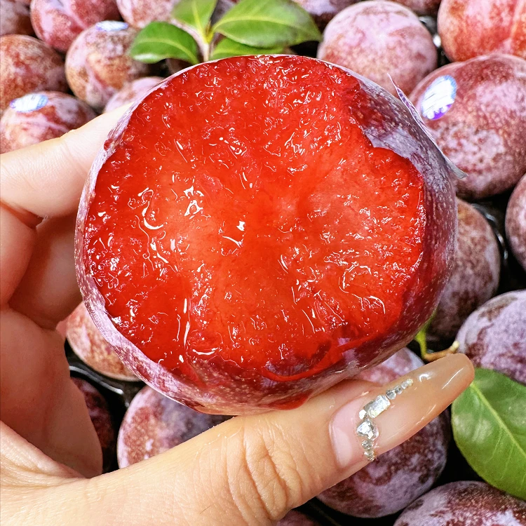 胭脂女王李进口李子恐龙蛋当季新鲜水果孕妇水果顺丰京东花青素