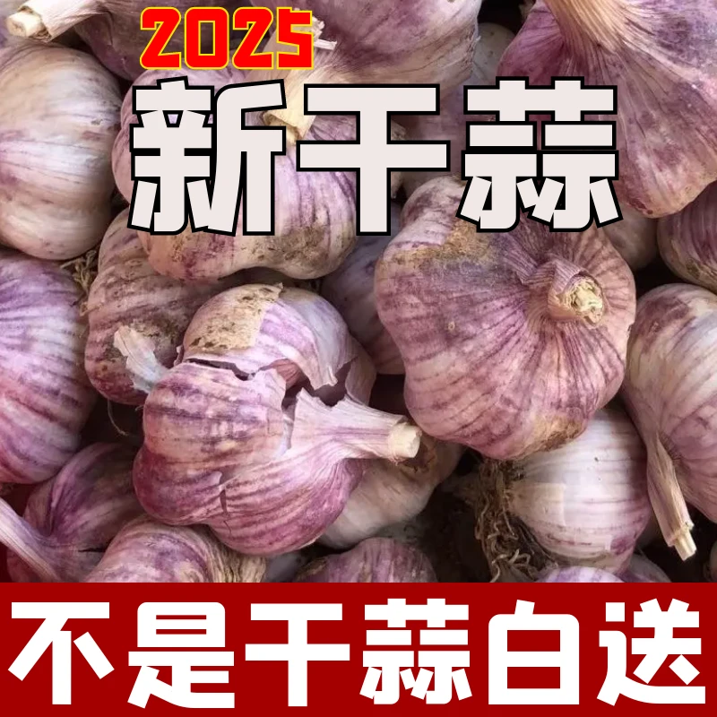 【直播专享】云南紫皮多瓣十足干蒜老品种香蒜2025干大蒜非鲜蒜
