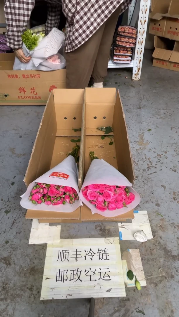 安****铺苏菲10枝