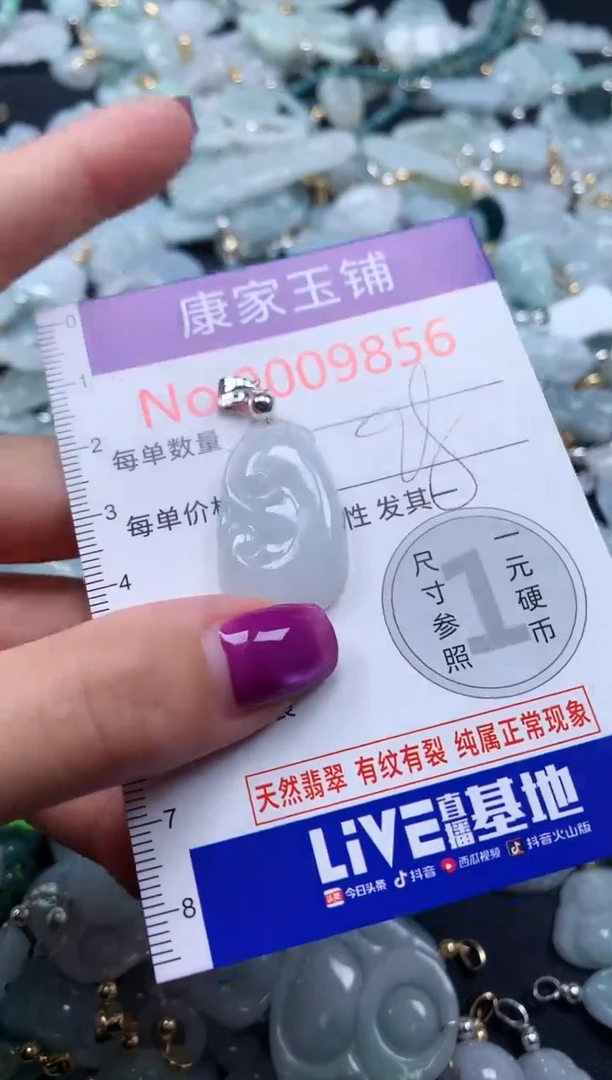 颈饰未镶嵌翡翠9856