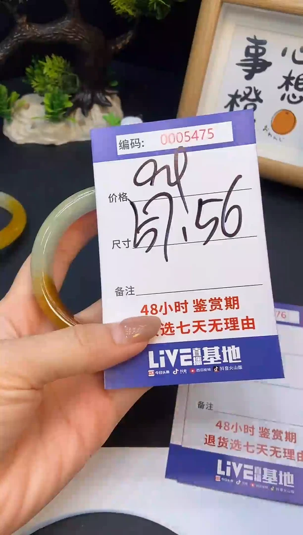 未镶嵌手镯翡翠0005475