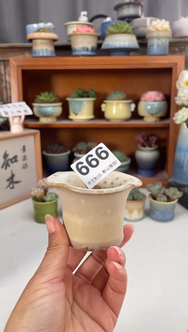 瓷片666福利知木小芳花盆