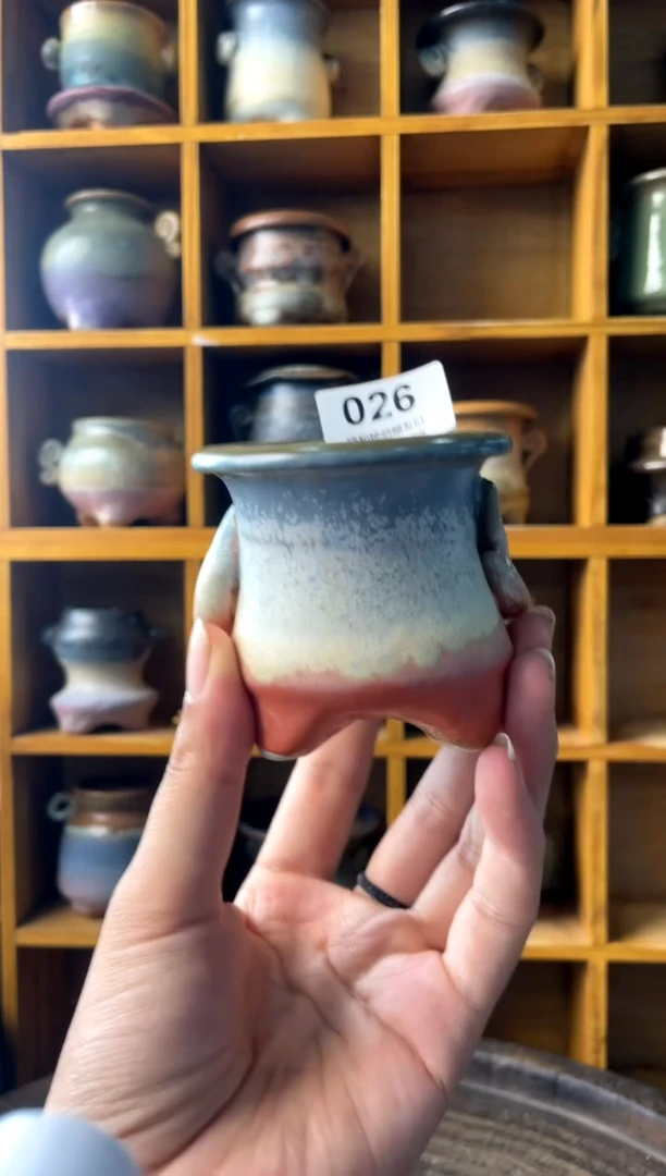 026内口5【多肉花盆多肉盆】