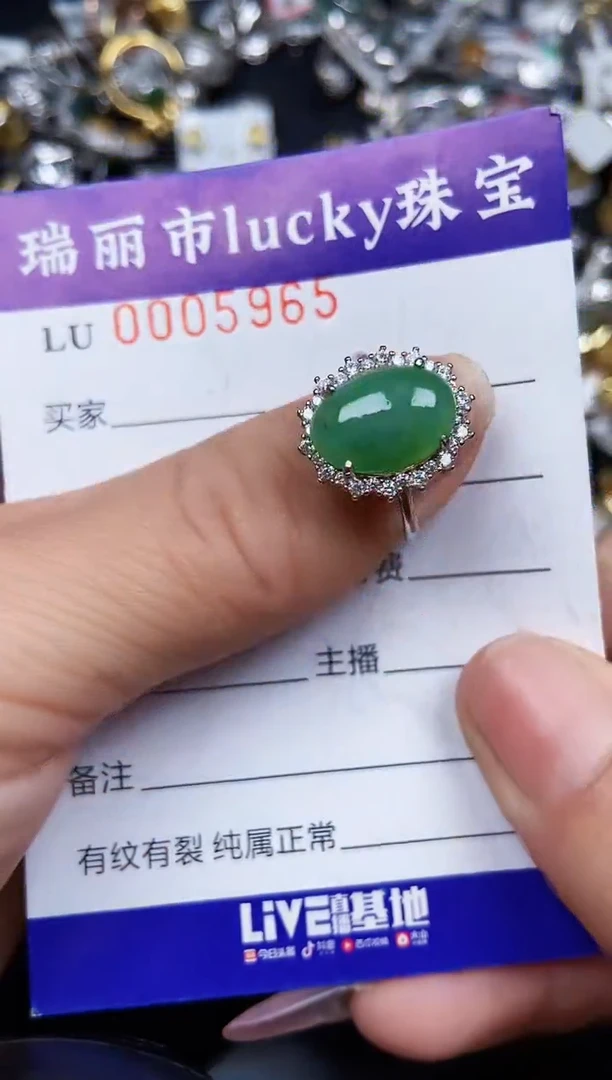 翡翠银S925镶嵌颈饰5965