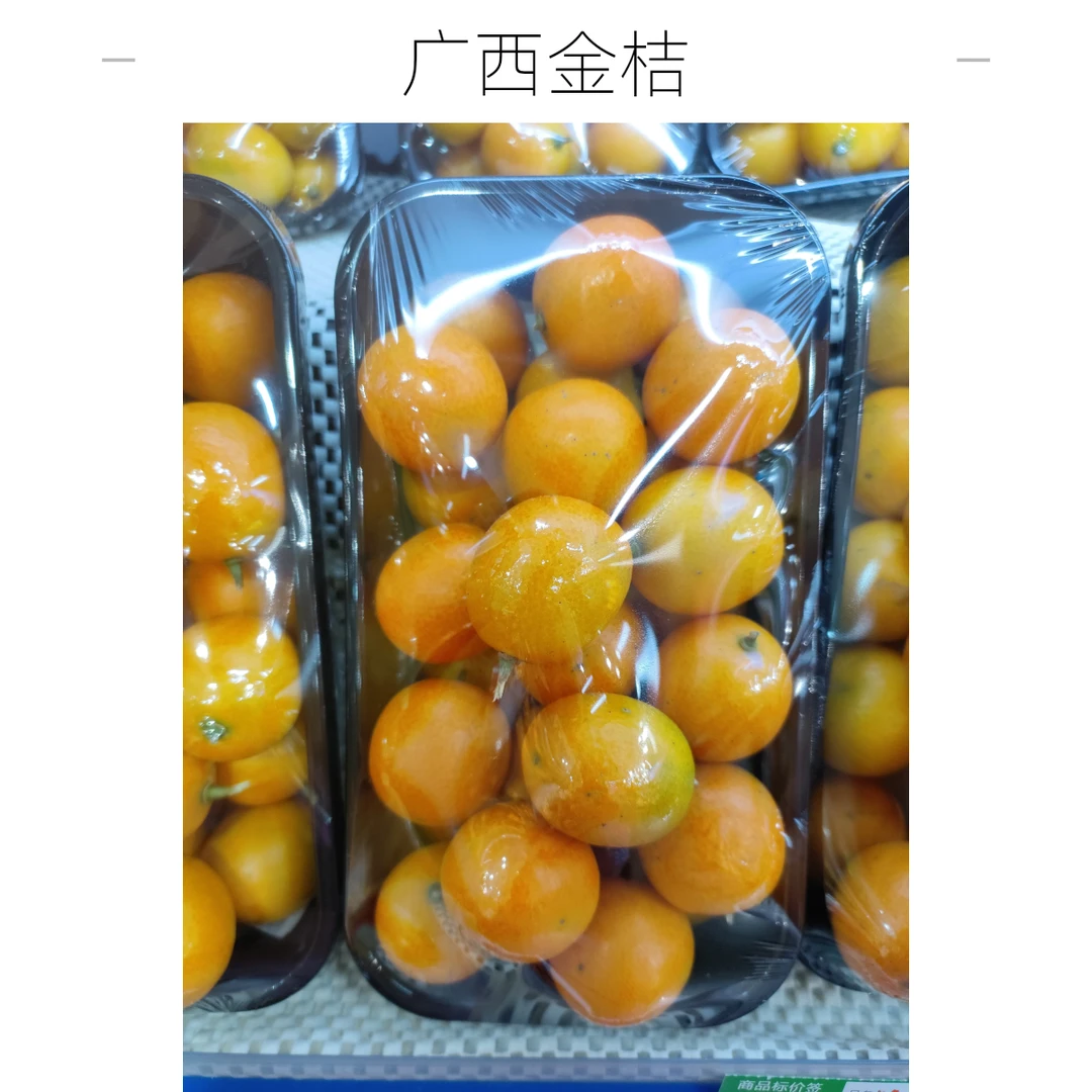 广西桂林金桔1斤广西壮族自治区