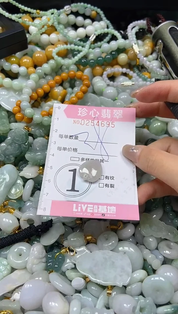 翡翠未镶嵌颈饰闪购0254695