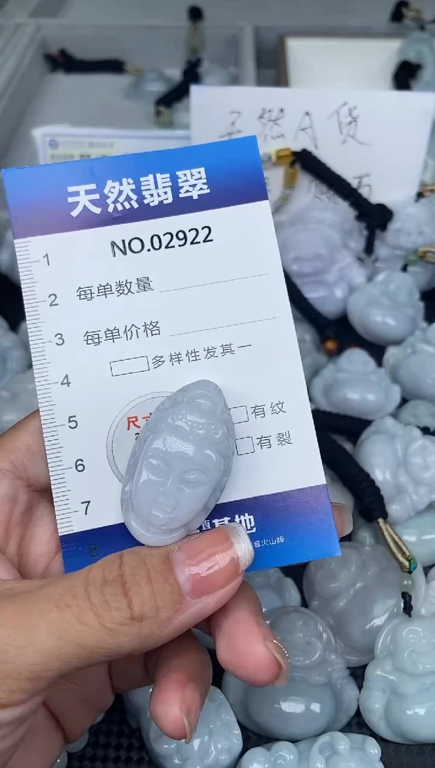 颈饰未镶嵌翡翠纯天然A货翡翠2922