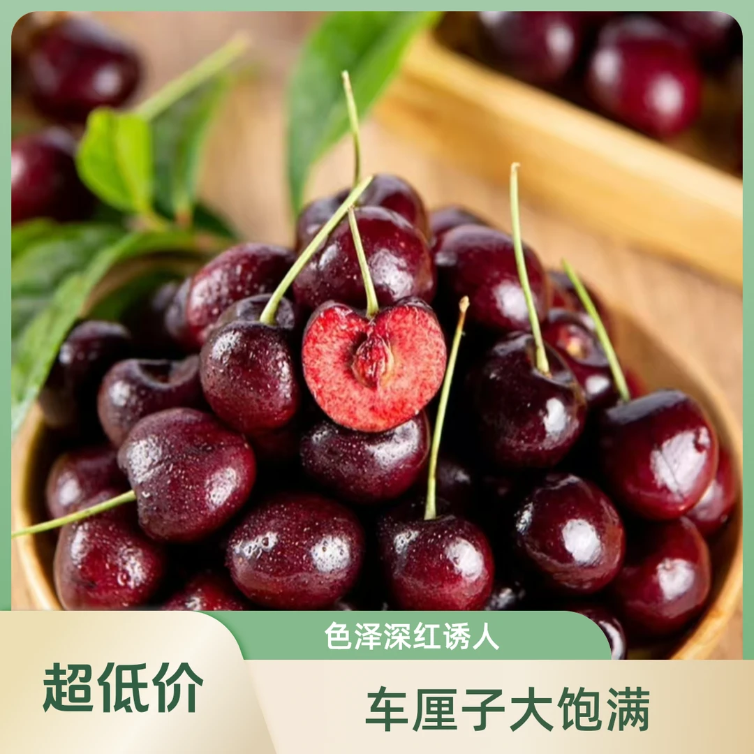 智利进口3JD车厘子3斤/份海运桑提娜