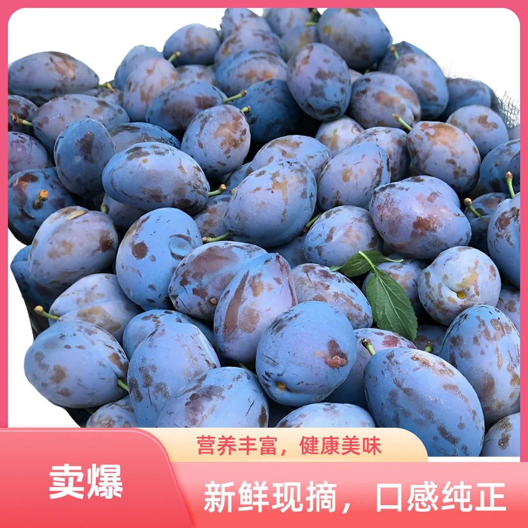 新鲜西梅子果西梅新疆西梅鲜果水果水果产地直发当季新鲜水果