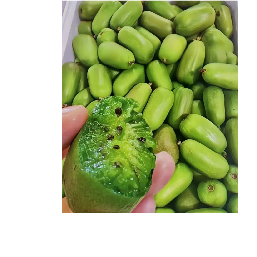 大连特产自家果园现摘软枣猕猴桃香甜奇异莓新鲜当季水果顺丰包邮