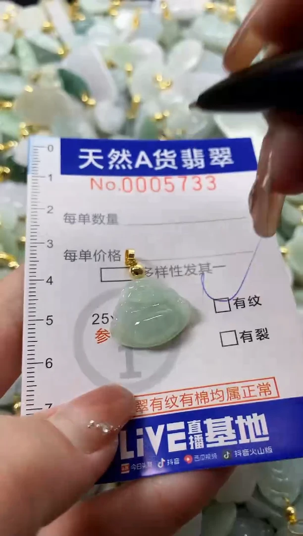 颈饰未镶嵌翡翠天然A货翡翠