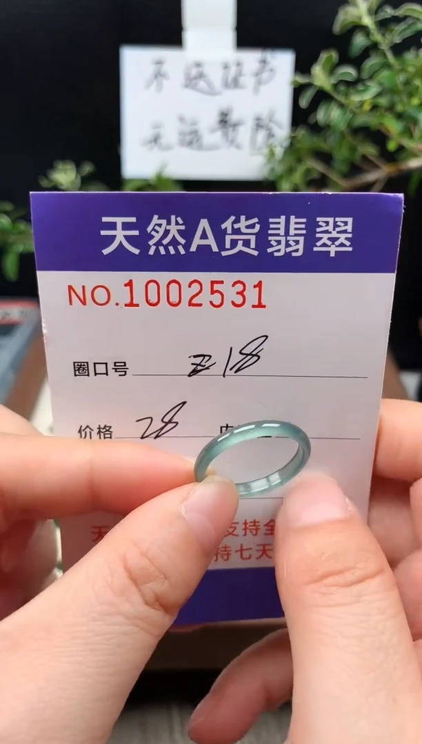 未镶嵌戒指翡翠18#
